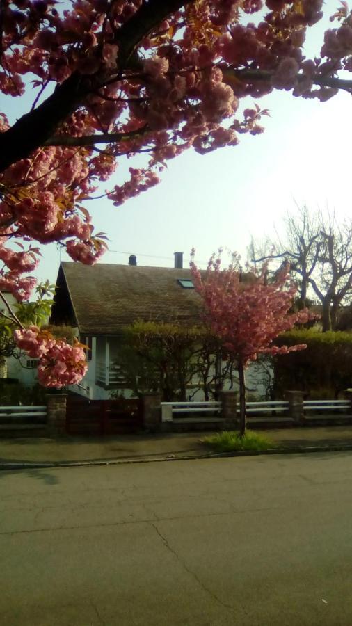 Chalet Montsegur Colmar Exterior foto