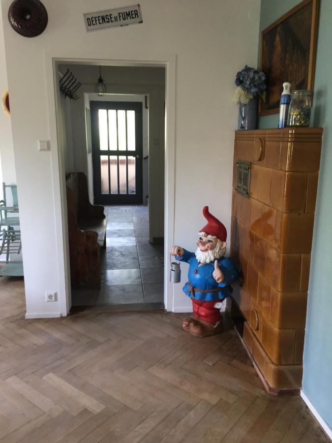 Chalet Montsegur Colmar Exterior foto